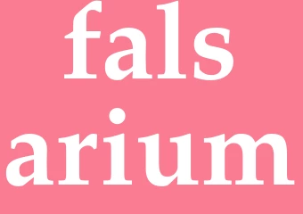 Synonym falsarium