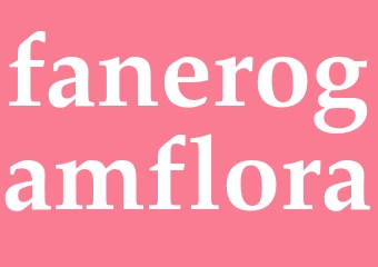 Synonym fanerogamflora