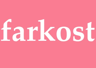 Synonym farkost