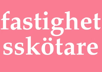 Synonym fastighetsskötare