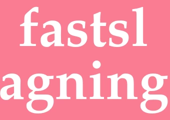 Synonym fastslagning