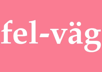 Synonym fel väg