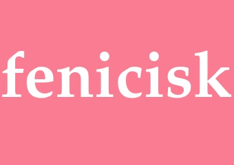 Synonym fenicisk