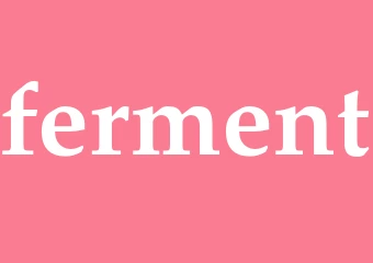 Synonym ferment