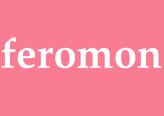 Synonym feromon