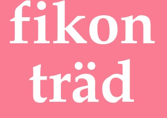 Synonym fikonträd