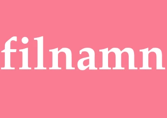 Synonym filnamn