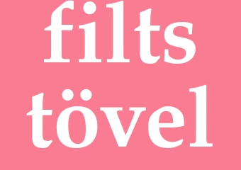 Synonym filtstövel