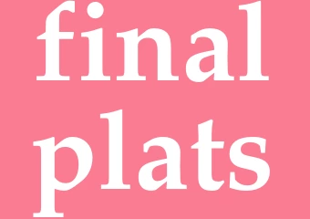 Synonym finalplats