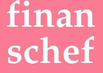 Synonym finanschef