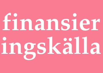 Synonym finansieringskälla