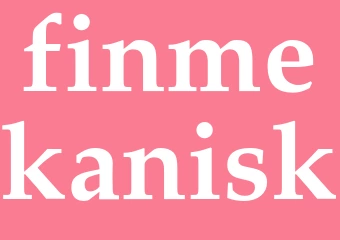 Synonym finmekanisk