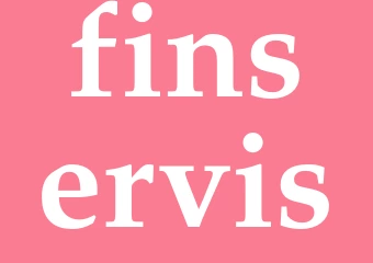 Synonym finservis