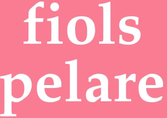 Synonym fiolspelare
