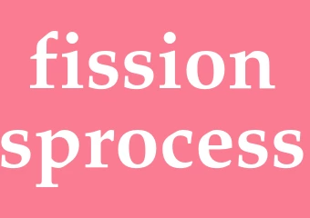 Synonym fissionsprocess