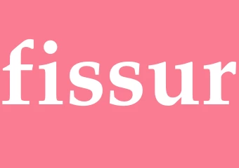 Synonym fissur