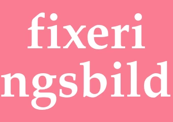 Synonym fixeringsbild