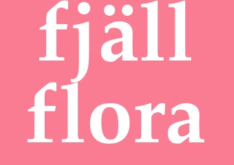 Synonym fjällflora