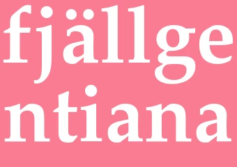 Synonym fjällgentiana