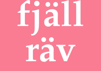 Synonym fjällräv