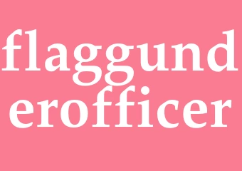 Synonym flaggunderofficer
