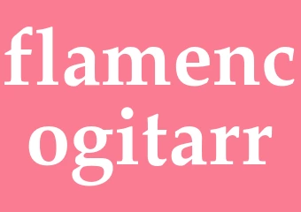 Synonym flamencogitarr