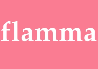 Synonym flamma