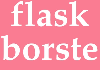 Synonym flaskborste