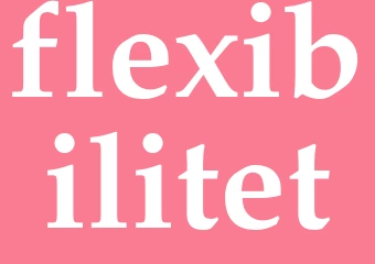 Synonym flexibilitet