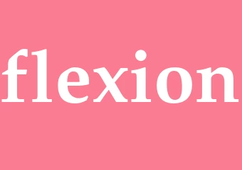 Synonym flexion