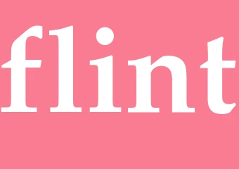 Synonym flint