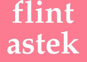 Synonym flintastek