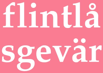 Synonym flintlåsgevär