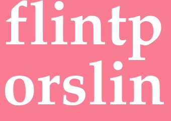 Synonym flintporslin
