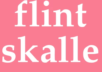 Synonym flintskalle