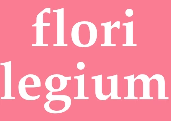 Synonym florilegium