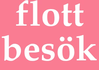 Synonym flottbesök