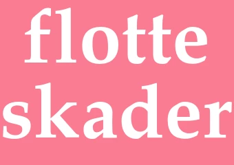 Synonym flotteskader