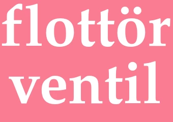 Synonym flottörventil