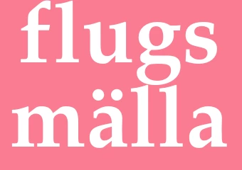 Synonym flugsmälla