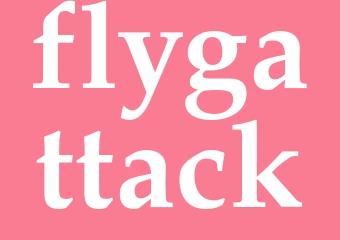 Synonym flygattack