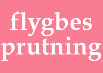 Synonym flygbesprutning