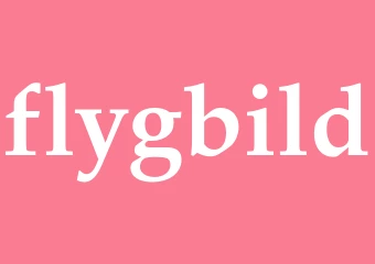 Synonym flygbild