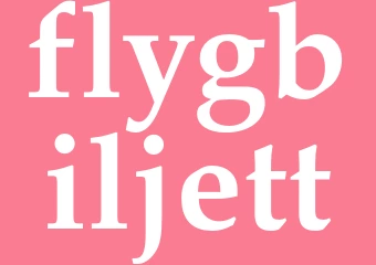Synonym flygbiljett
