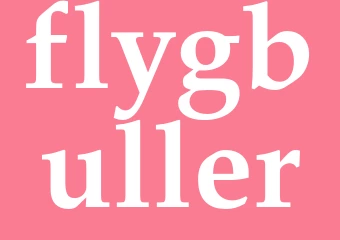 Synonym flygbuller