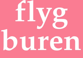Synonym flygburen
