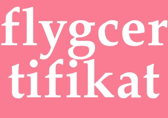 Synonym flygcertifikat