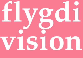 Synonym flygdivision