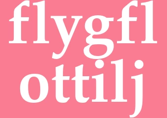 Synonym flygflottilj