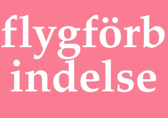 Synonym flygförbindelse